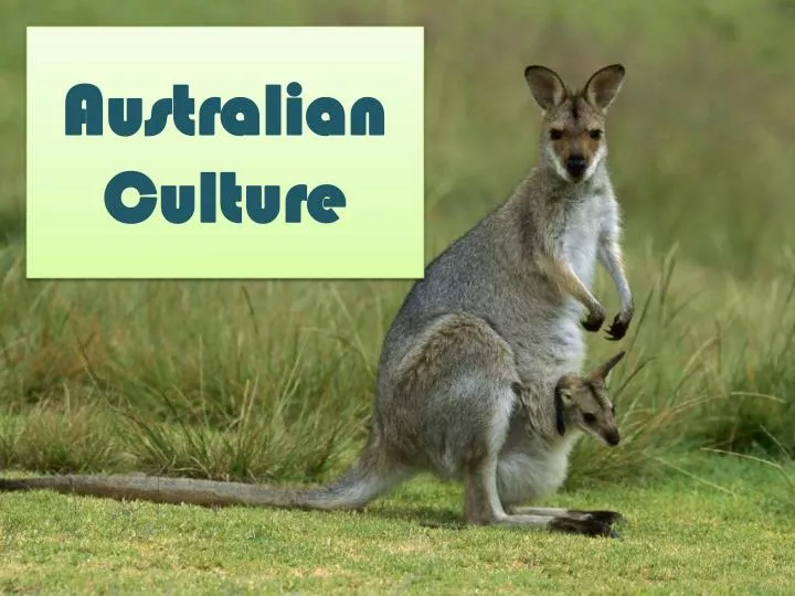 australian culture