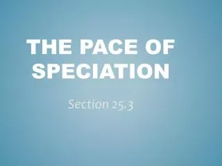 The Pace of Speciation