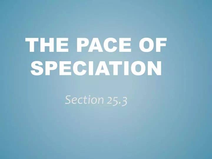 the pace of speciation