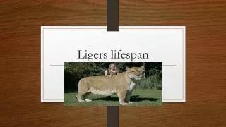 Ligers lifespan