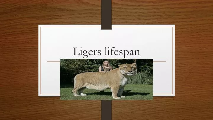 ligers lifespan