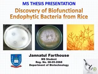 Discovery of Biofunctional Endophytic Bacteria from Rice