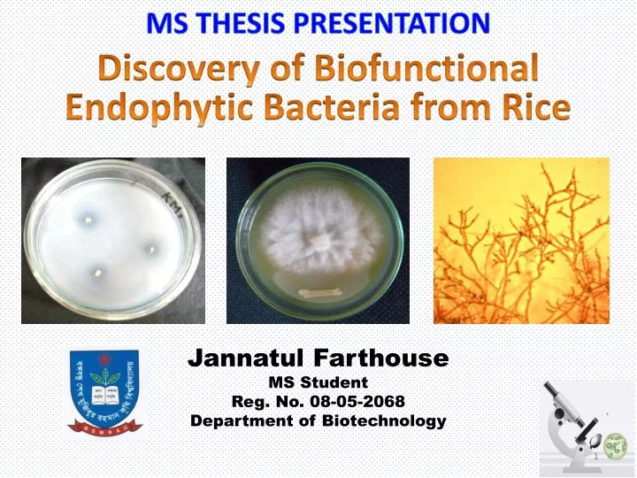 discovery of biofunctional endophytic bacteria from rice