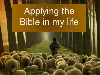 Applying the Bible in my life