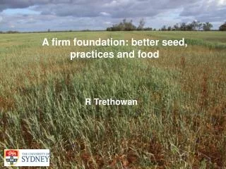 A firm foundation: better seed, practices and food