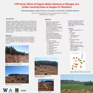 LTSP Study: Effects of Organic Matter Removal on Nitrogen and