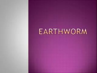 EARTHWORM