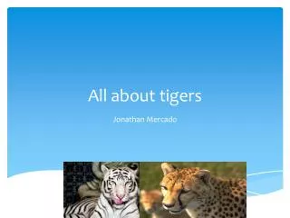 All about tigers