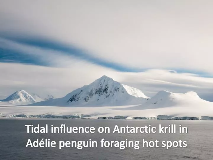tidal influence on antarctic krill in ad lie penguin foraging hot spots