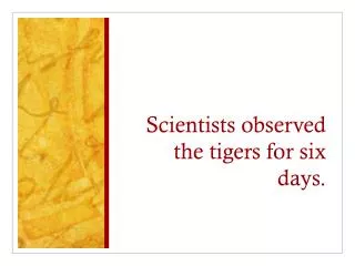 Scientists observed the tigers for six days.