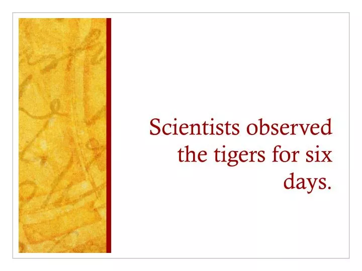 scientists observed the tigers for six days