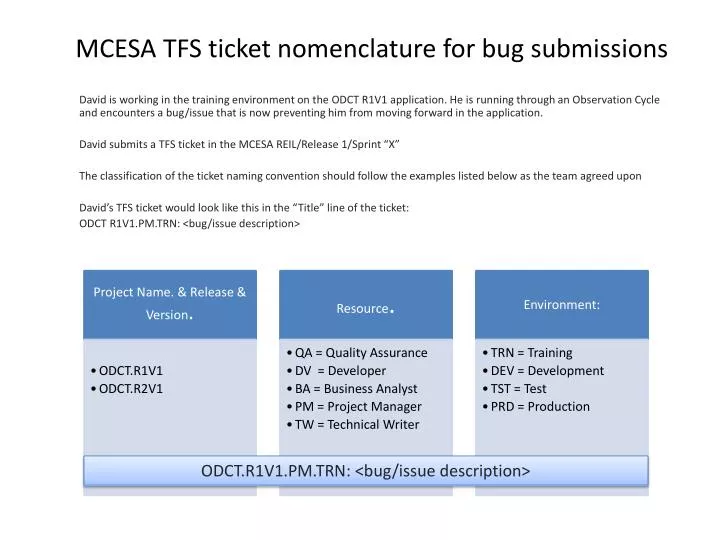 mcesa tfs ticket nomenclature for bug submissions