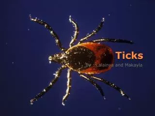 Ticks