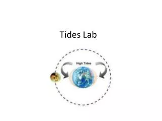 Tides Lab