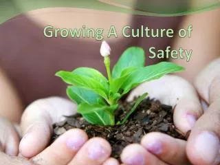 Growing A Culture of Safety