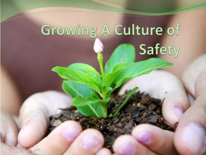 growing a culture of safety