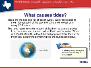 What causes tides?