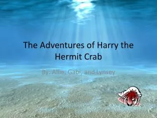 The Adventures of Harry the Hermit Crab
