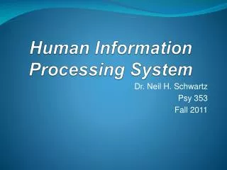 Human Information Processing System