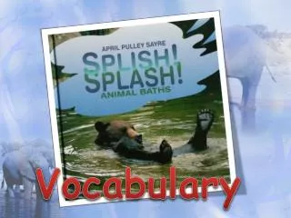 Vocabulary