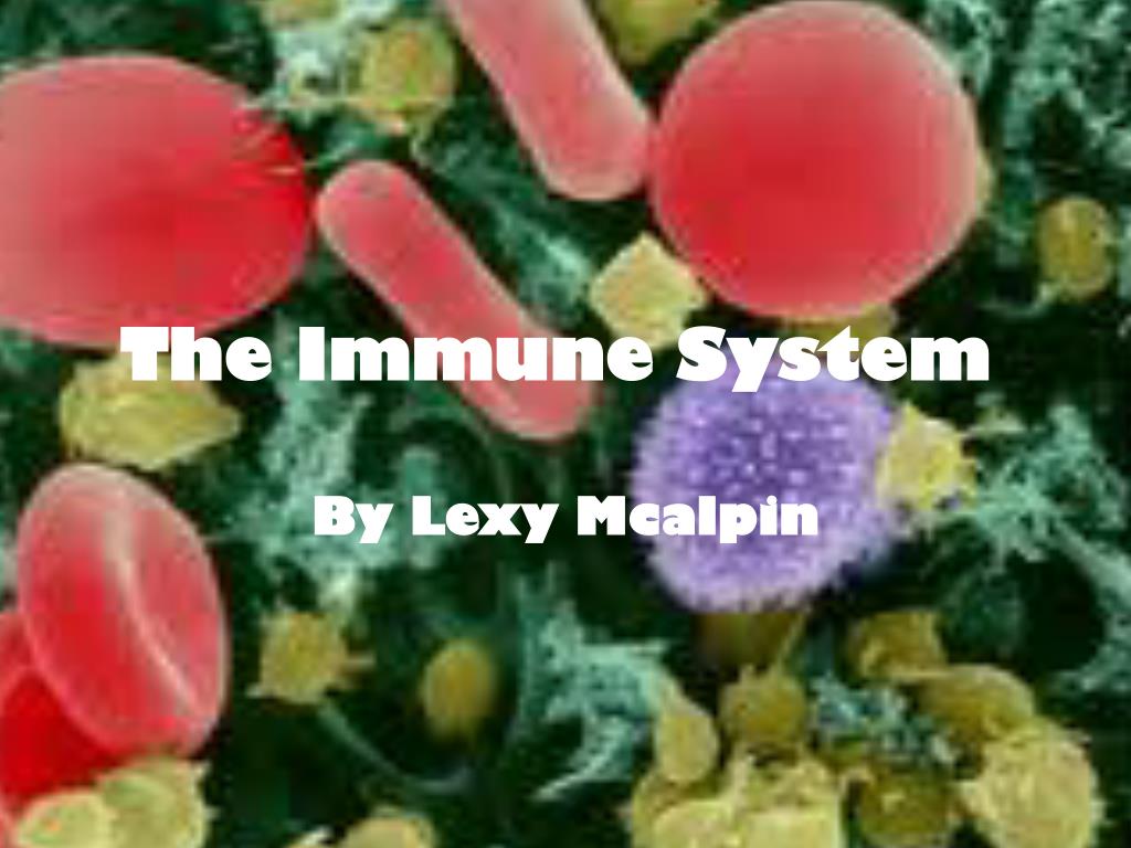 PPT - The Immune System PowerPoint Presentation, free download - ID:2491931