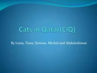 Cats in Qatar(CIQ)