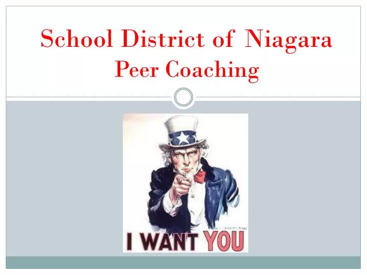 school district of niagara peer coaching