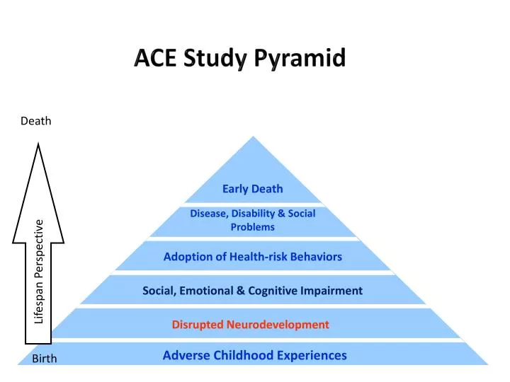 ace study pyramid