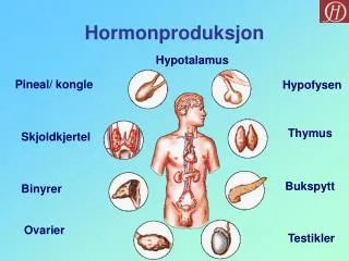hormonproduksjon