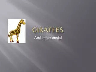 Giraffes