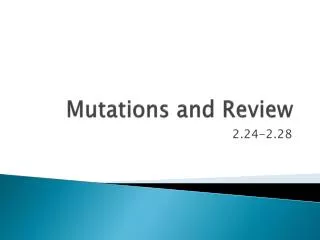 Mutations and Review