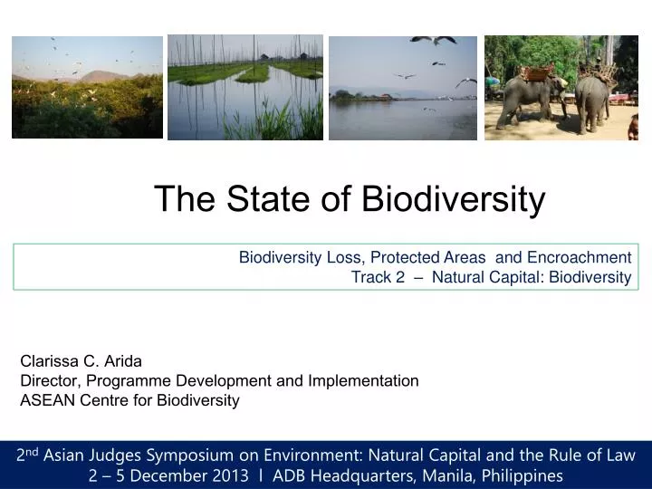 the state of biodiversity