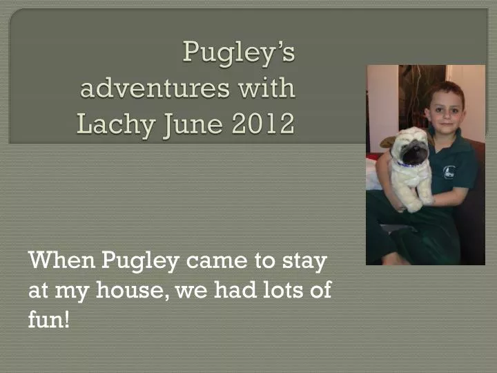 pugley s adventures with lachy june 2012