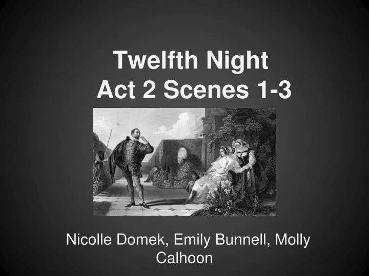 twelfth night act 2 scenes 1 3