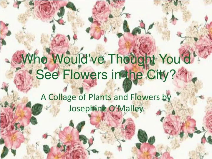 who would ve thought you d see flowers in the city
