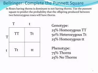Bellringer : Complete the Punnett Square