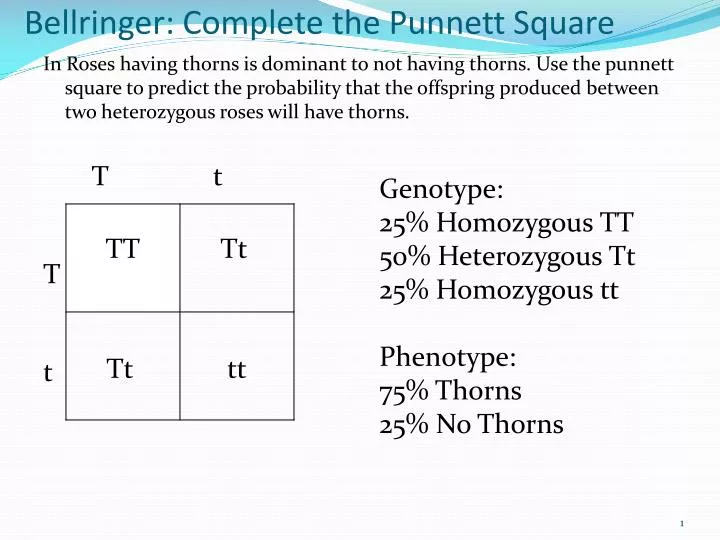 bellringer complete the punnett square