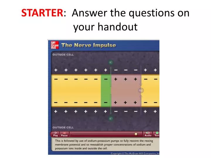 starter answer the questions on your handout