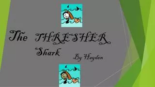 THRESHER Shark