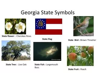 Georgia State Symbols