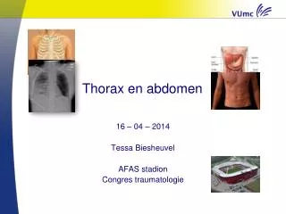 thorax en abdomen