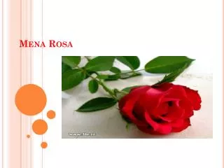 Mena Rosa