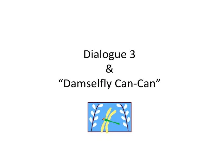 dialogue 3 damselfly can can