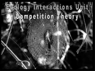 Ecology Interactions Unit Competition Theory