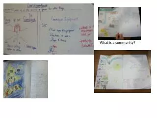 What is a community?