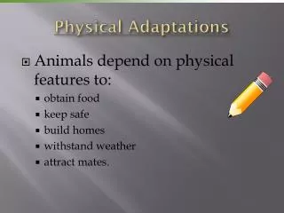 Physical Adaptations