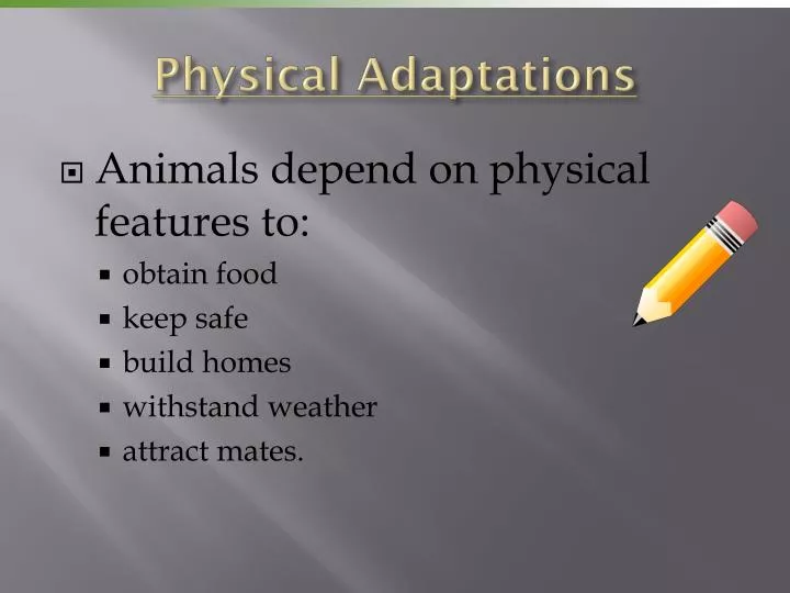 physical adaptations
