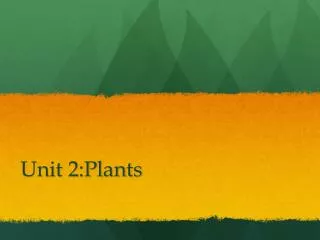 Unit 2:Plants