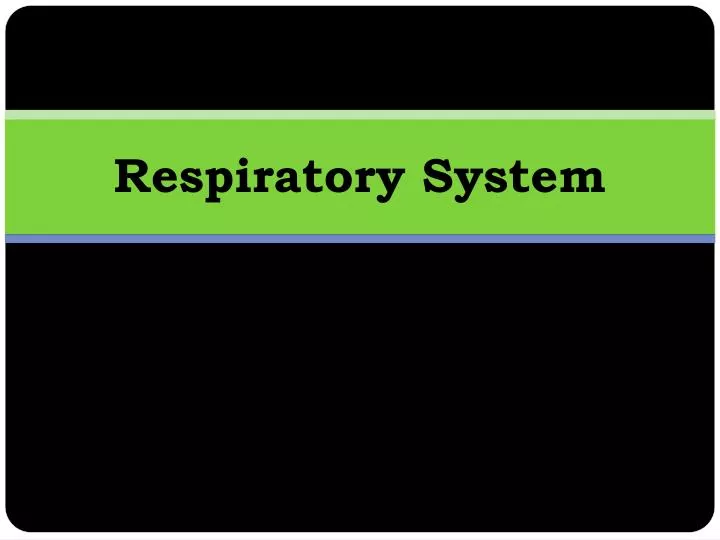 respiratory system