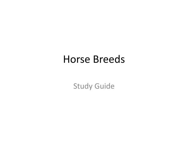 horse breeds